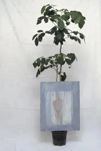 Ad&aacute;n