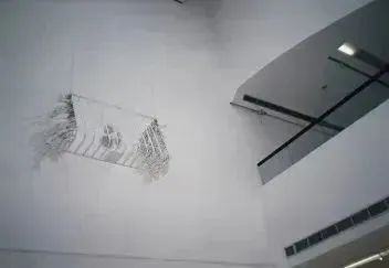 Pecho de Paloma
